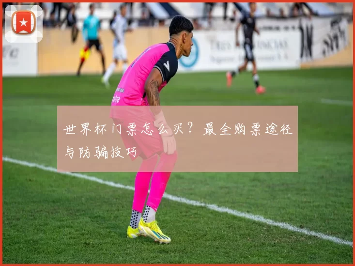 世界杯门票怎么买?最全购票途径与防骗技巧