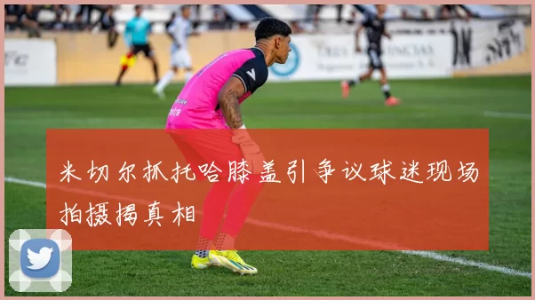 米切尔抓托哈膝盖引争议球迷现场拍摄揭真相