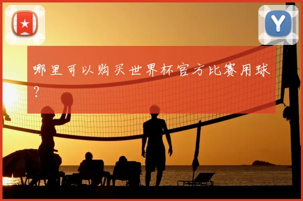 哪里可以购买世界杯官方比赛用球？