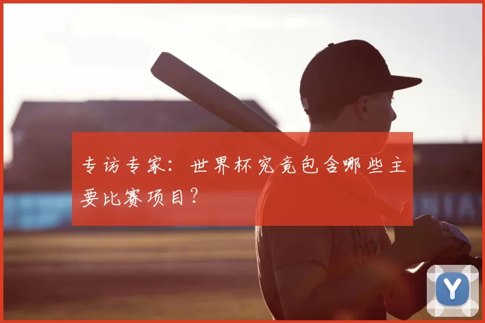 专访专家:世界杯究竟包含哪些主要比赛项目?