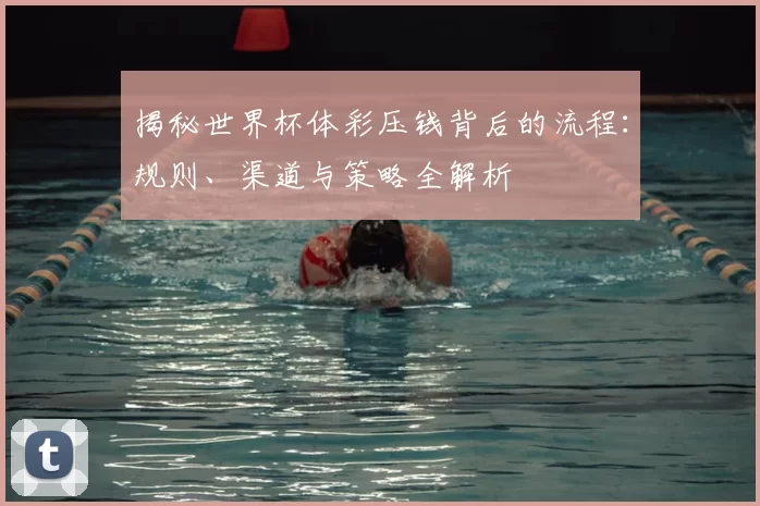 揭秘世界杯体彩压钱背后的流程：规则、渠道与策略全解析