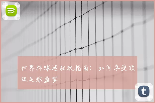 世界杯球迷狂欢指南：如何享受顶级足球盛宴