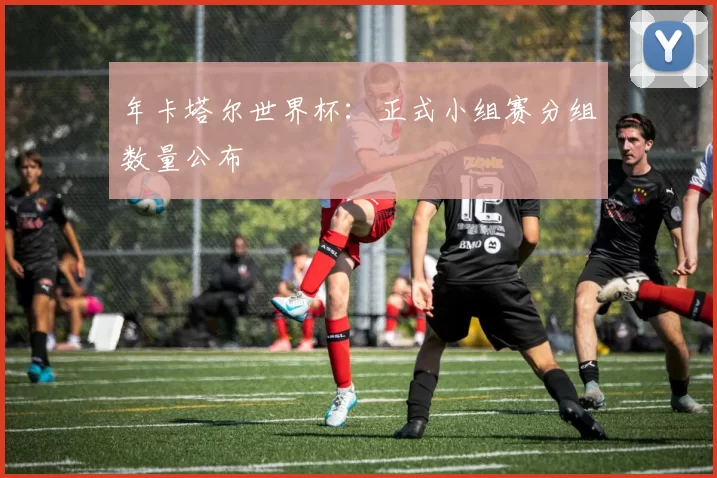 年卡塔尔世界杯：正式小组赛分组数量公布