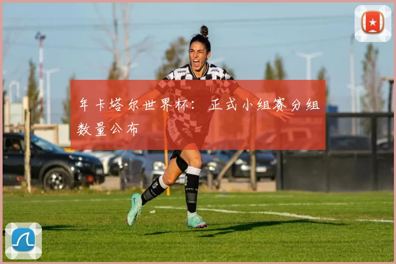 年卡塔尔世界杯：正式小组赛分组数量公布