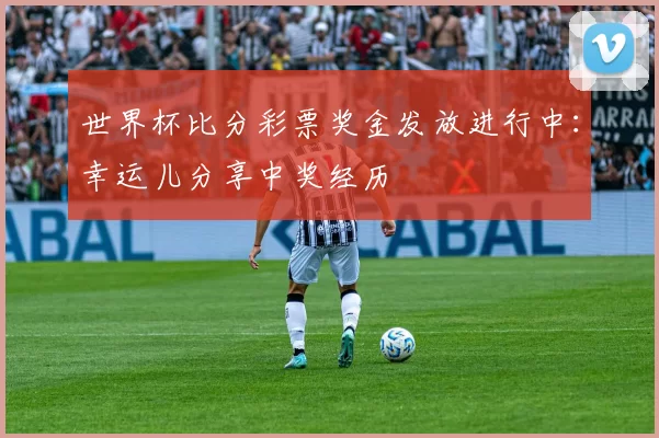 世界杯比分彩票奖金发放进行中：幸运儿分享中奖经历