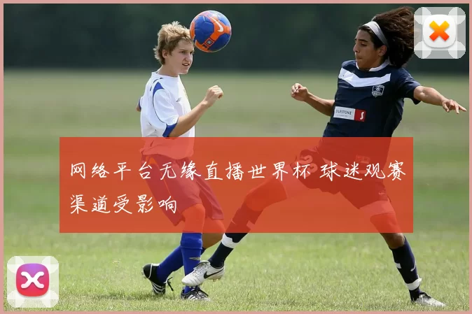 网络平台无缘直播世界杯 球迷观赛渠道受影响