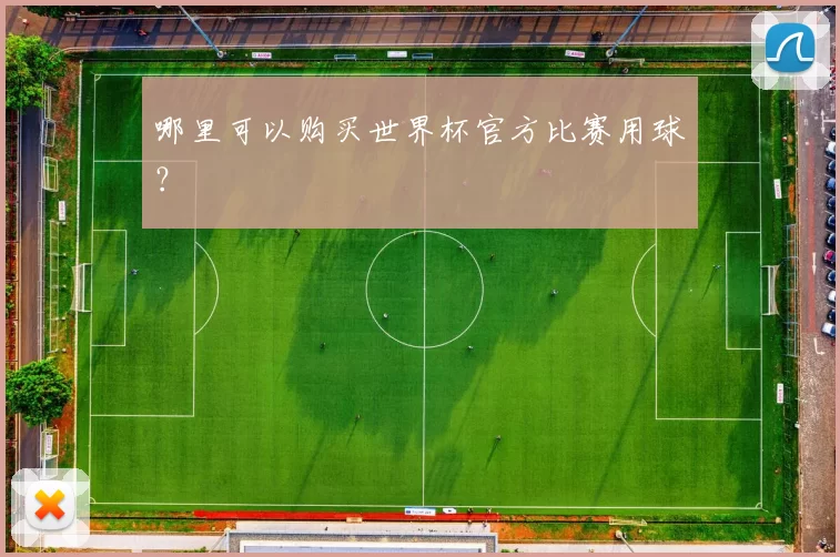 哪里可以购买世界杯官方比赛用球？