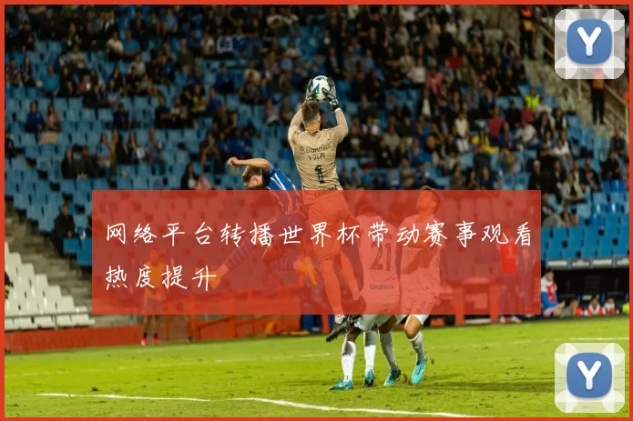 网络平台转播世界杯带动赛事观看热度提升